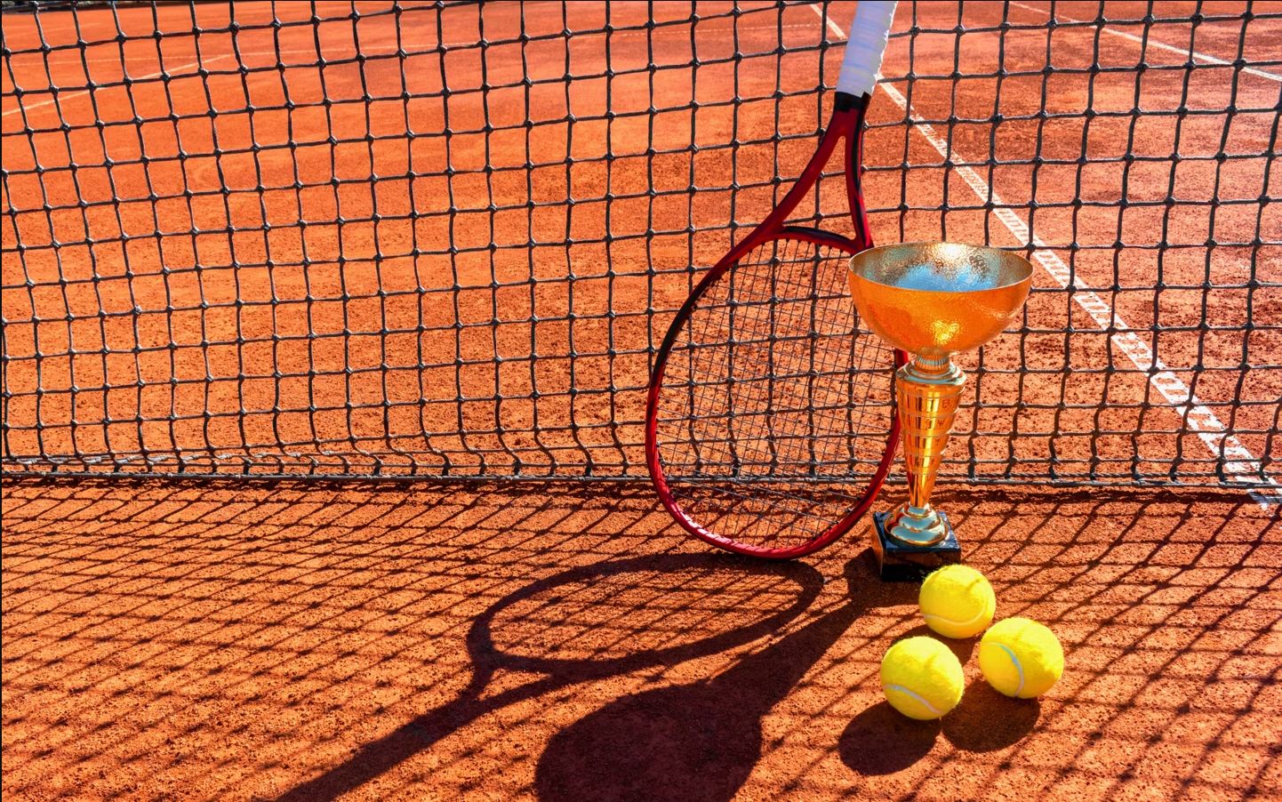 Mehr über den Artikel erfahren Vorstands-Cup 2024